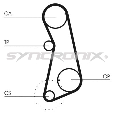 Timing Belt Kit (SY110637)