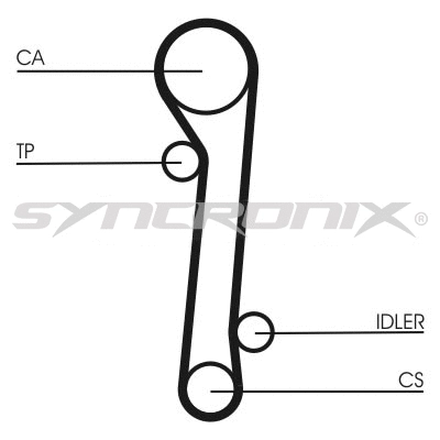 Timing Belt Kit (SY210781)