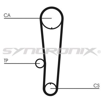 Timing Belt
