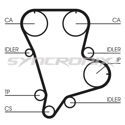 Timing Belt