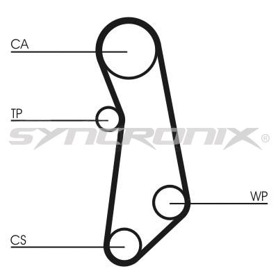 Timing Belt Kit (SY1101115)