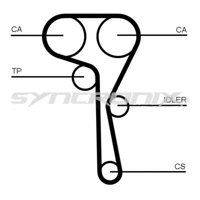 Timing Belt Kit (SY1101167)