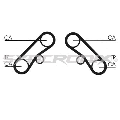 Timing Belt