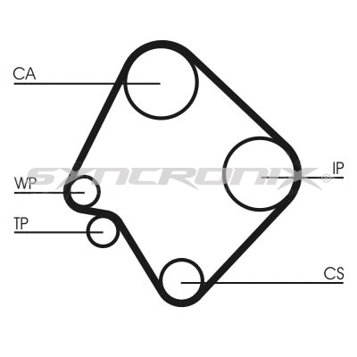 Timing Belt