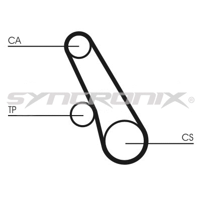 Timing Belt