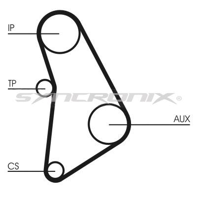 Timing Belt