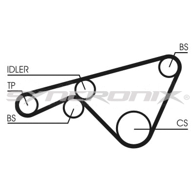 Timing Belt