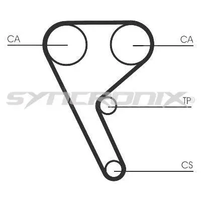 Timing Belt