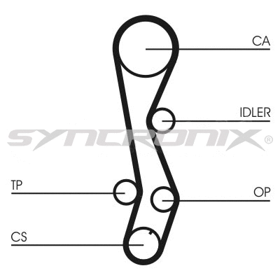 Timing Belt