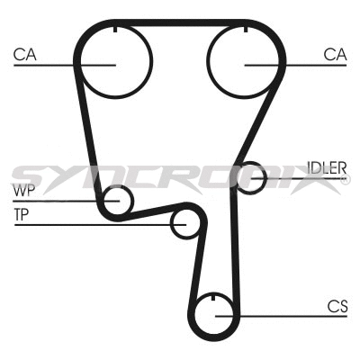 Timing Belt