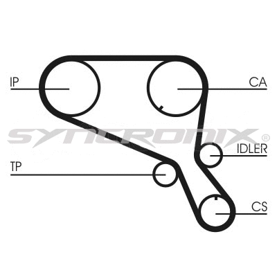Timing Belt