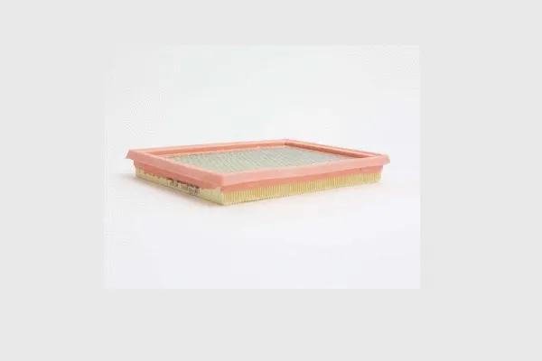 Air Filter (AE374)
