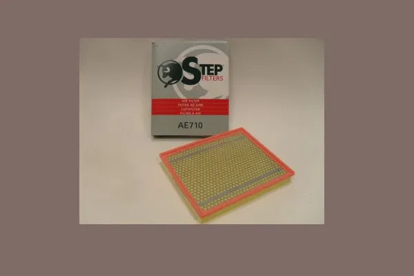 Air Filter (AE710)
