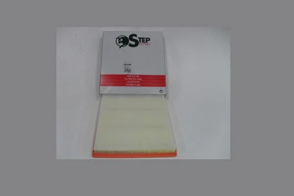 Air Filter (AE47066)