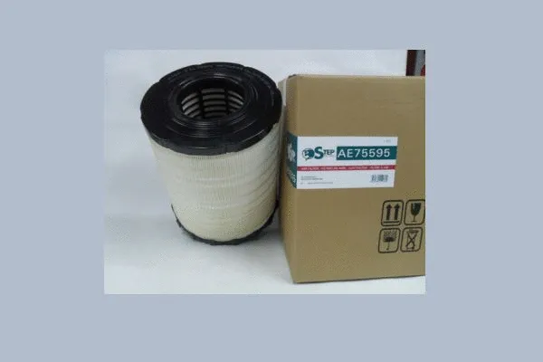 Air Filter (AE75595)