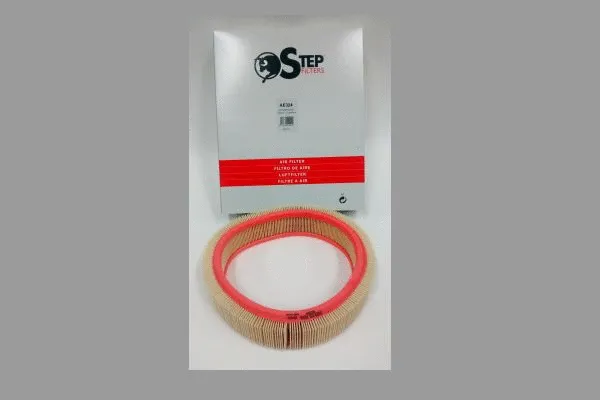 Air Filter (AE324)