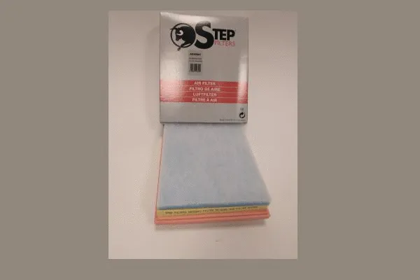 Air Filter (AE85641)