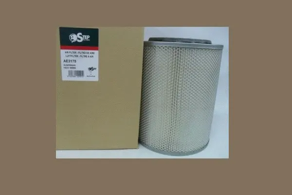 Air Filter (AE3175)