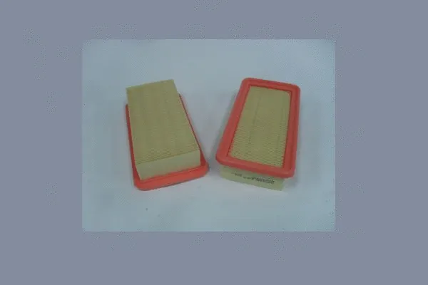Air Filter (AE42727)