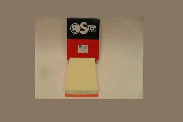 Air Filter (AE81179)