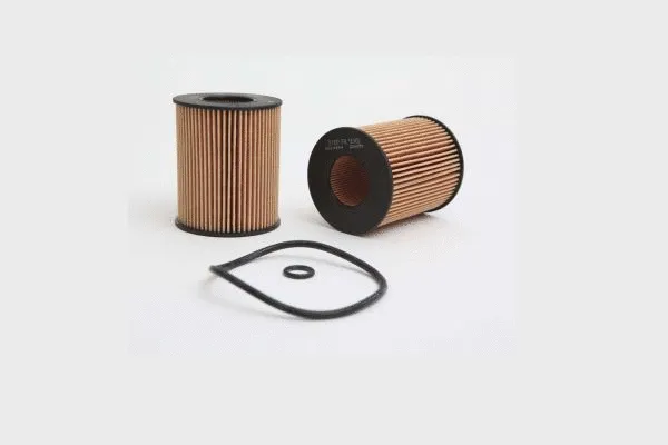 Oil Filter (HC24894)