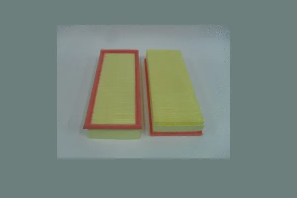 Air Filter (AE396)