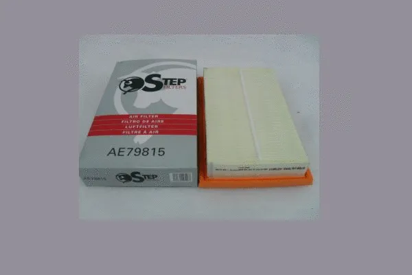Air Filter (AE79815)