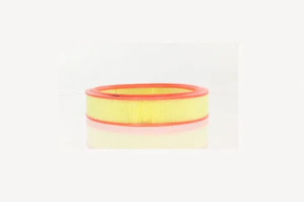 Air Filter (AE6747)