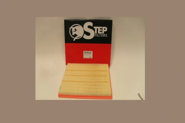 Air Filter (AE48123)