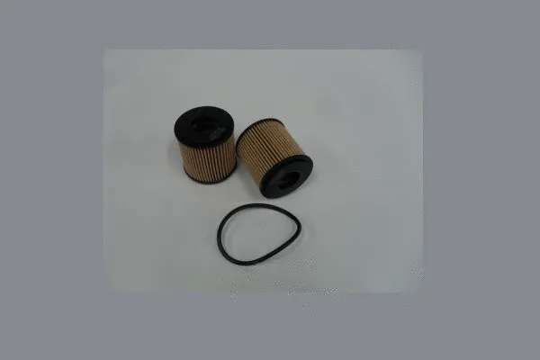 Oil Filter (HC31993)