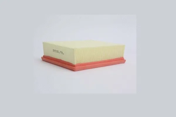 Air Filter (AE266)