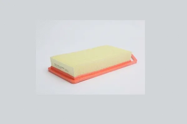 Air Filter (AE20629)