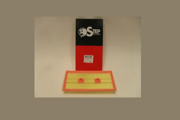Air Filter (AE31780)