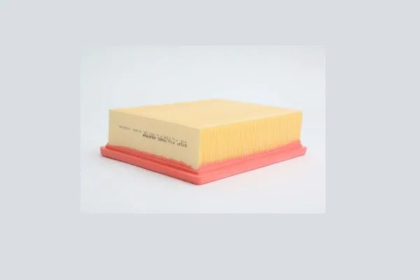 Air Filter (AE6934)