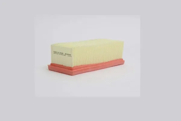 Air Filter (AE6838)
