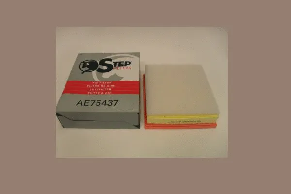 Air Filter (AE75437)