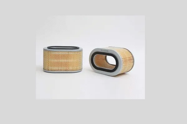 Air Filter (AE2825)