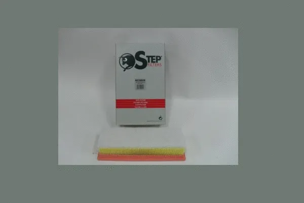 Air Filter (AE39806)