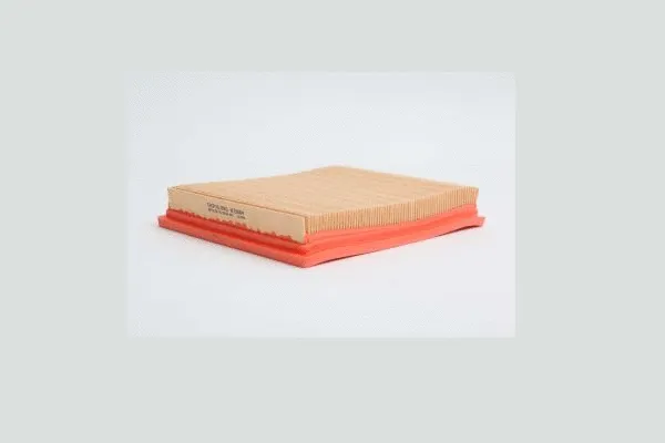 Air Filter (AE21684)