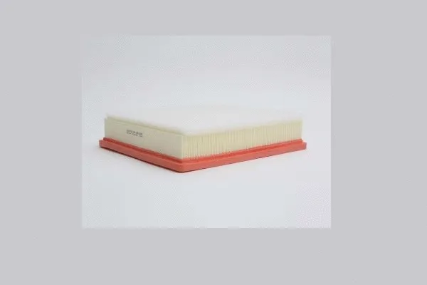 Air Filter (AE33300)