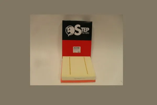 Air Filter (AE72394)