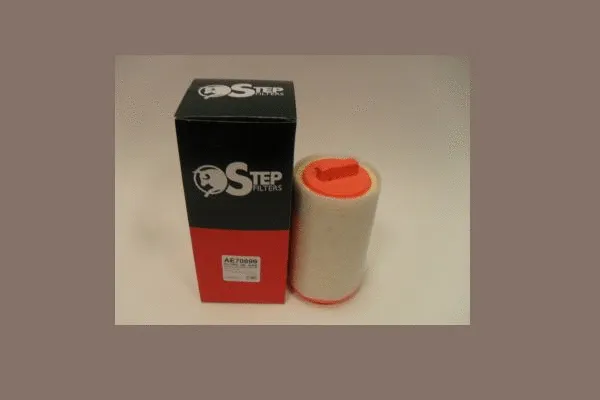 Air Filter (AE70899)