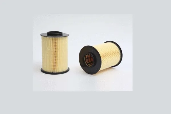 Air Filter (AE43971)