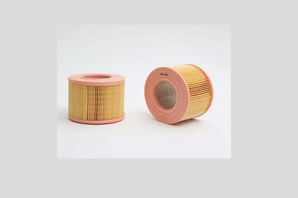 Air Filter (AE597)