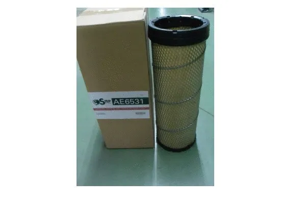 Air Filter (AE6531)