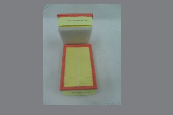 Air Filter (AE42313)