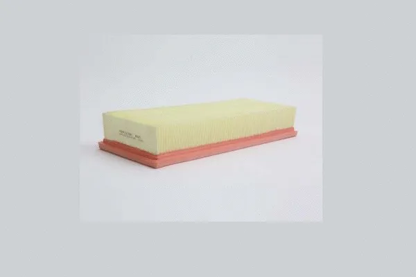 Air Filter (AE655)