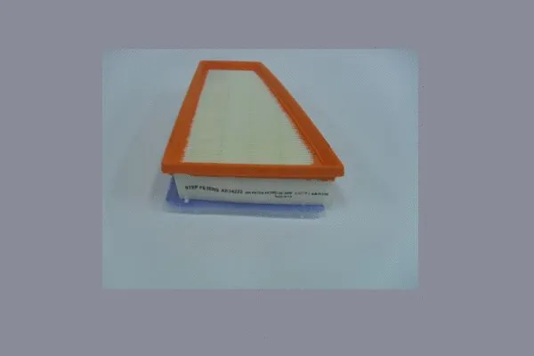Air Filter (AE74222)