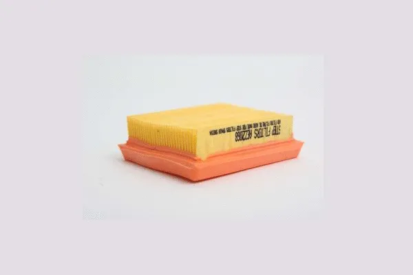 Air Filter (AE22068)