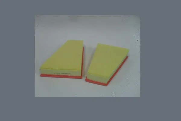 Air Filter (AE39913)